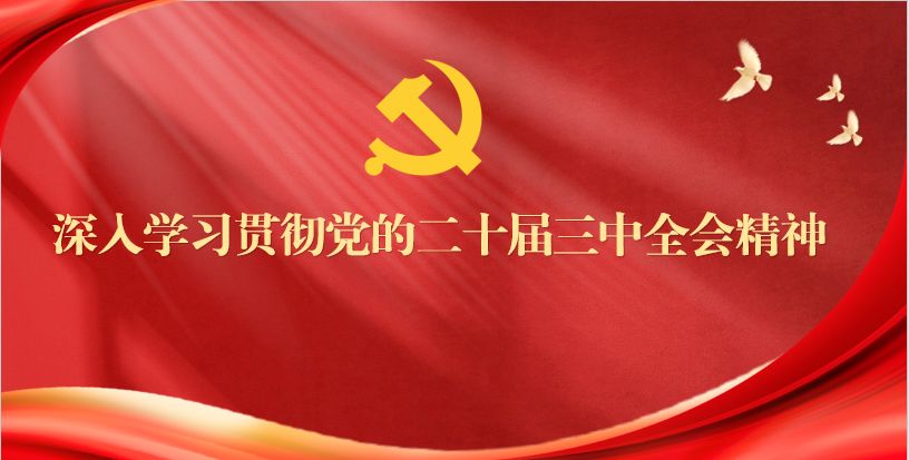 深入学习贯彻党的二十届三中全会精神